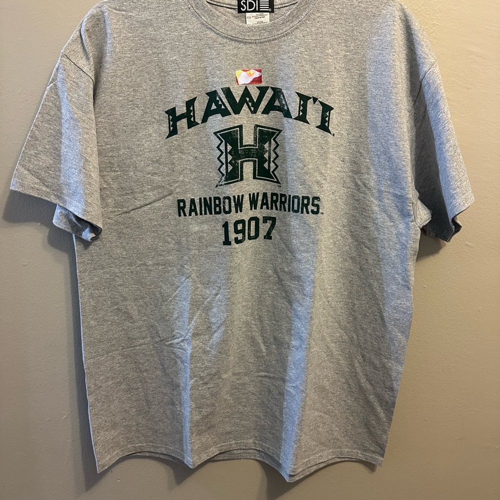Heather Gray Hawaii Rainbow Warriors Tee